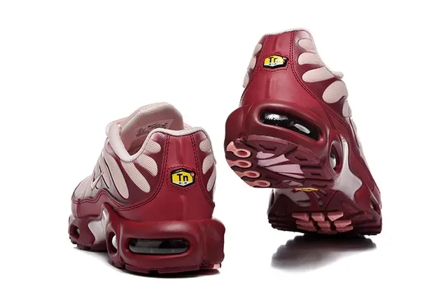 Nike Air Max Plus Brown Silver Maroon Lifestyle Sneakers 20