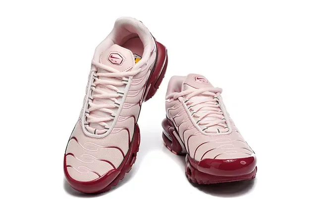 Nike Air Max Plus Brown Silver Maroon Lifestyle Sneakers 21
