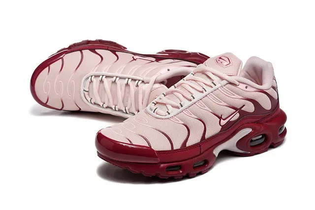 Nike Air Max Plus Brown Silver Maroon Lifestyle Sneakers 22