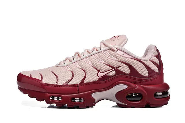 Nike Air Max Plus Brown Silver Maroon Lifestyle Sneakers 24