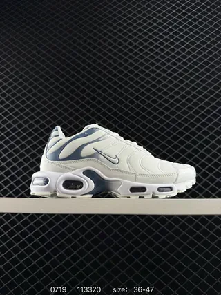 Nike Air Max Plus White and Navy Lifestyle Sneakers 2