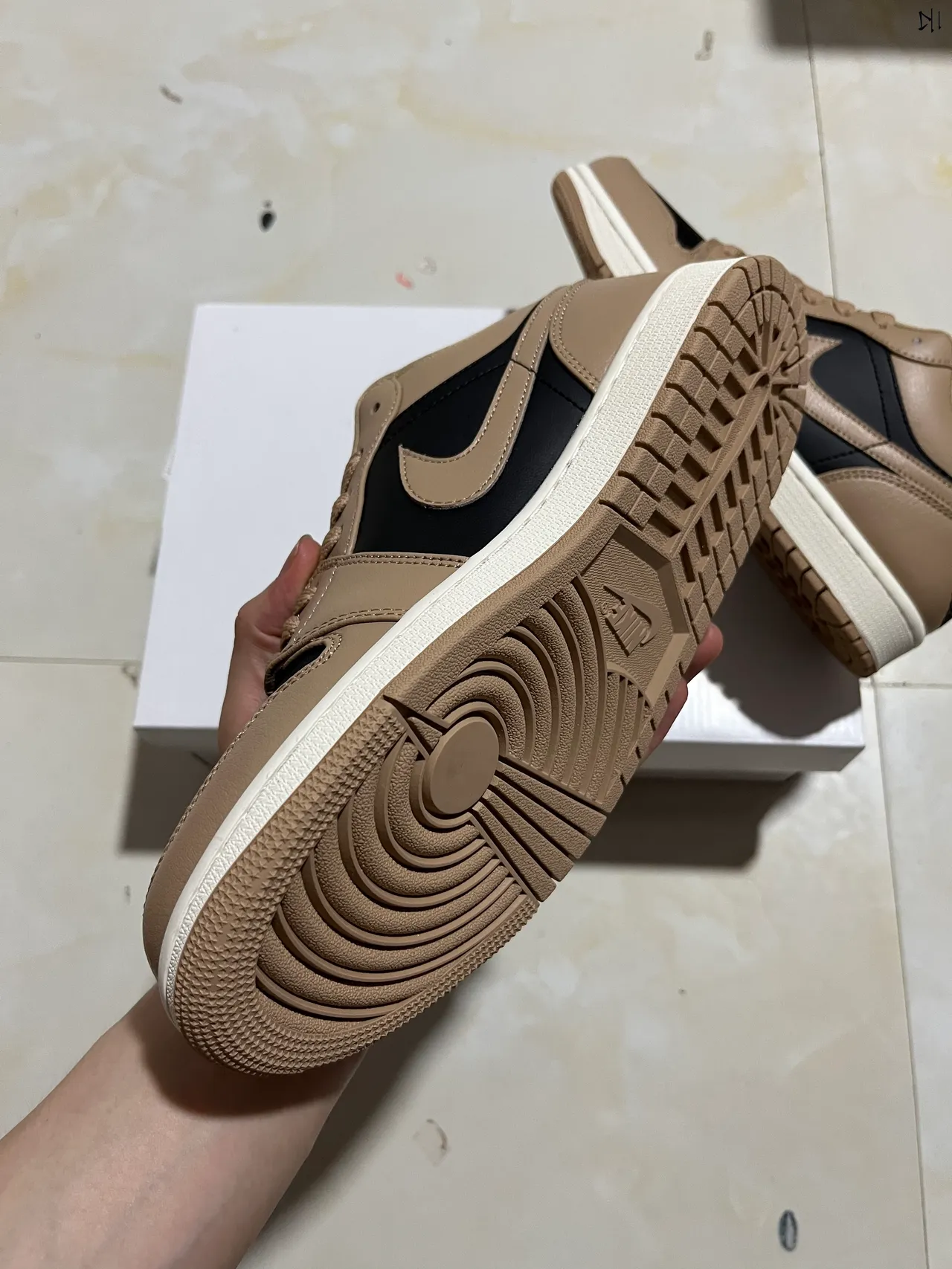Nike Dunk Low Beige and Black Lifestyle Sneakers 5