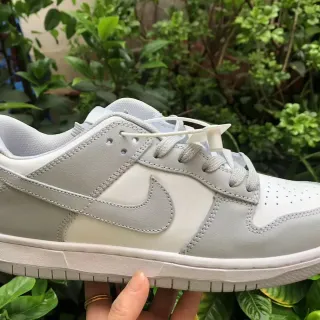 Nike Dunk Low Light Gray Lifestyle Sneakers