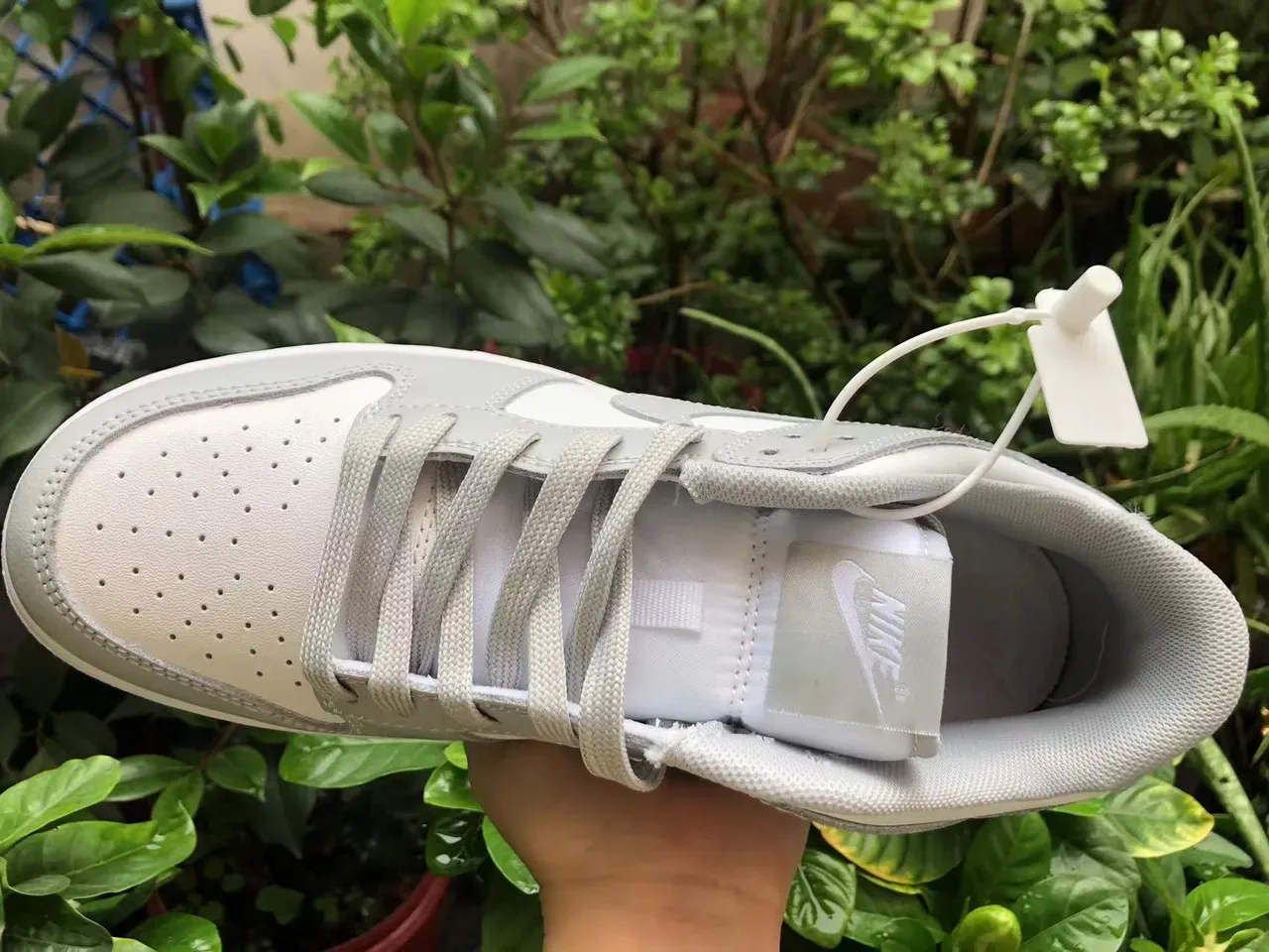 نایک Dunk Low رمادي فاتح سنيكرز لايف ستايل 2