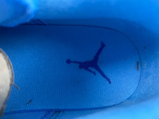 Air Jordan 3 Light Blue Elephant Print Basketball Shoes 11