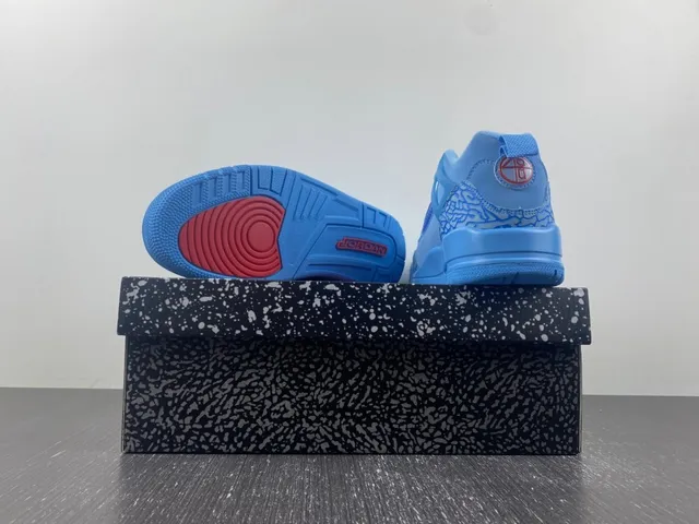 Air Jordan 3 Light Blue Elephant Print Basketball Shoes 14