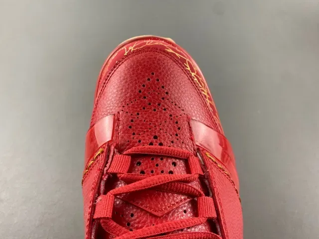 Air Jordan XX أحذية كرة السلة مدينة تاج ذهبي أحمر 5