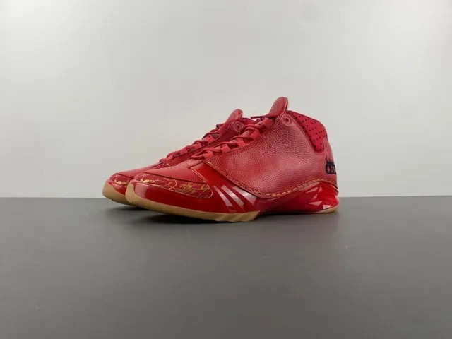 Air Jordan XX أحذية كرة السلة مدينة تاج ذهبي أحمر 11