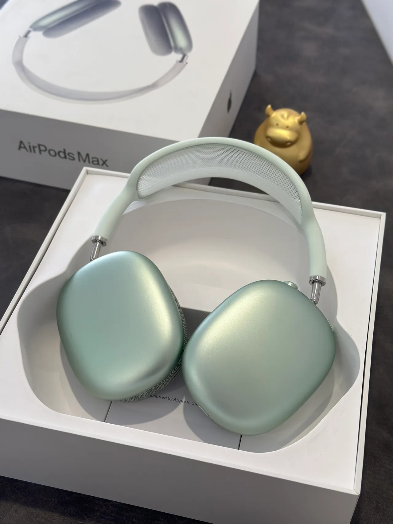 Apple AirPods Max Sage Green Over-ear Headphones 4