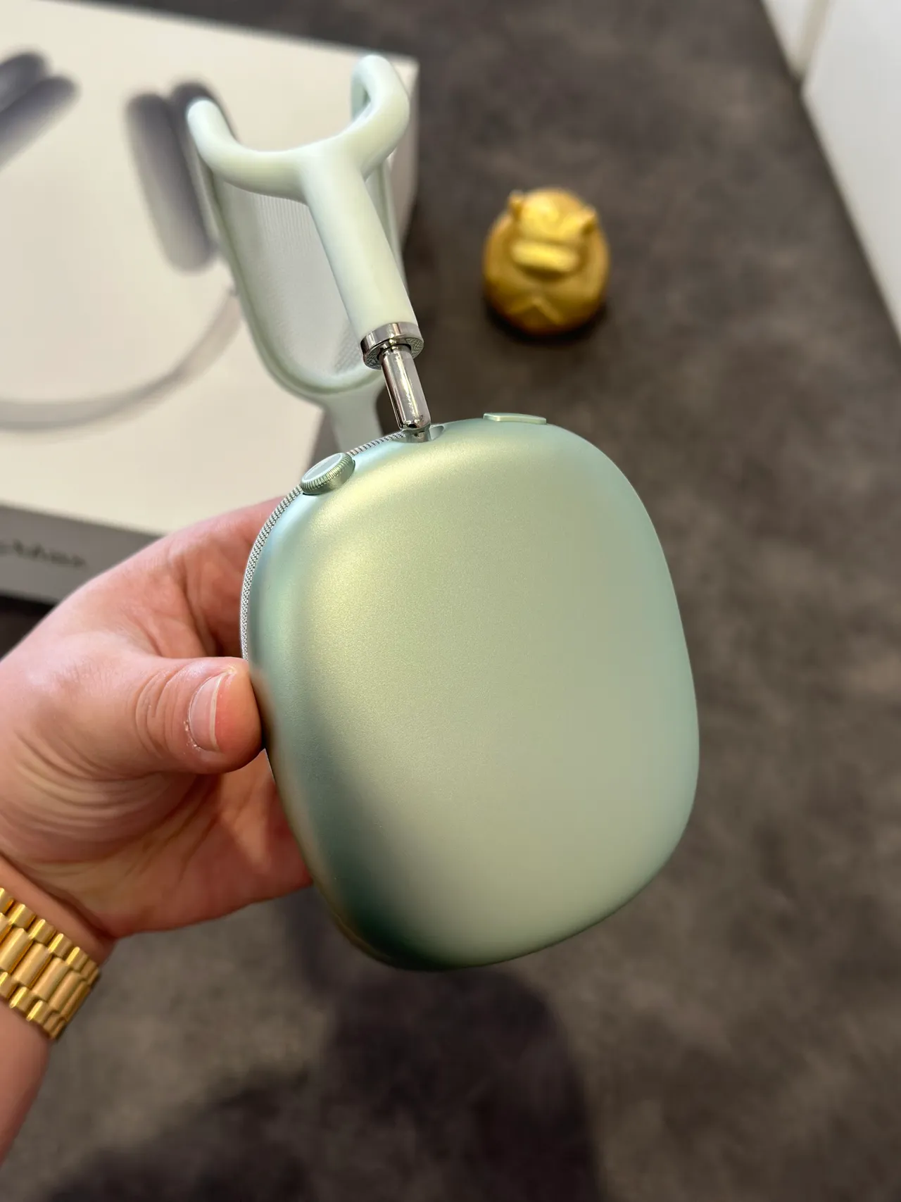 Apple AirPods Max Sage Green Over-ear Headphones 14