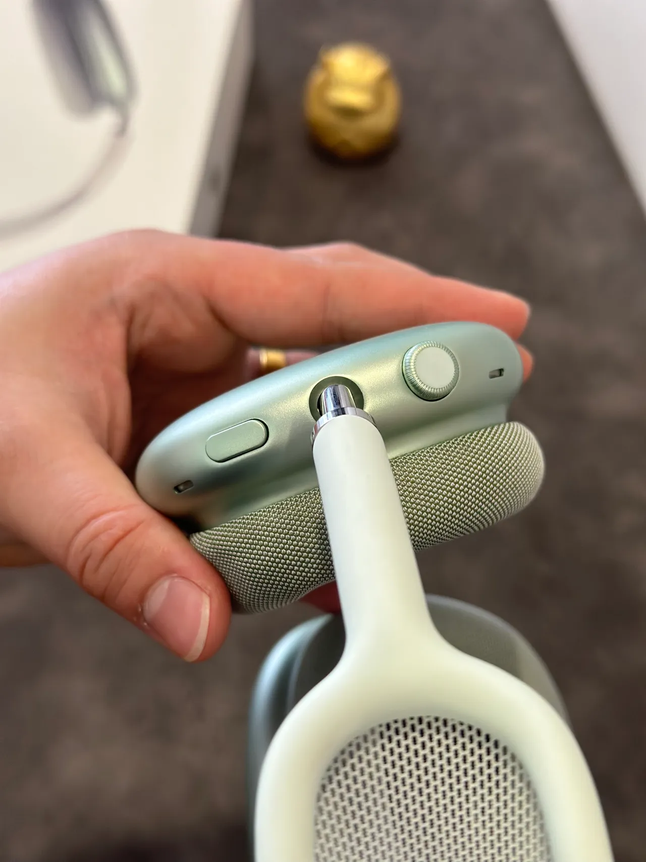 Apple AirPods Max Sage Green Over-ear Headphones 17