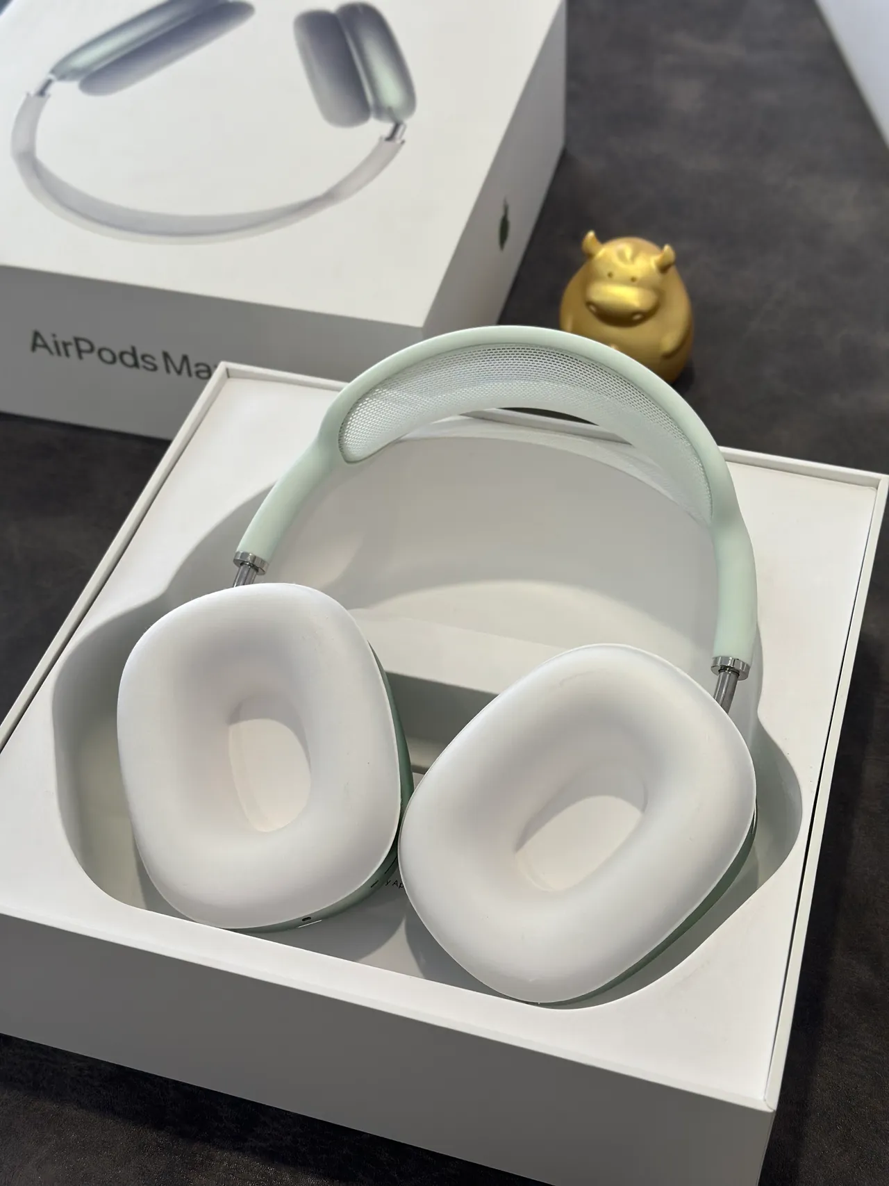 Apple AirPods Max Sage Green Over-ear Headphones 21