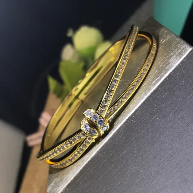 Bracelete Cartier Juste un Clou Dupla Banda Pavê Cristal Nó 6