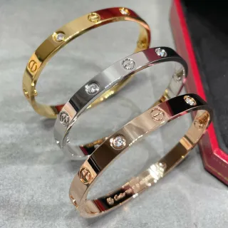 Cartier Love Gold Silver Rigid Bangle Screw Motif Bracelet