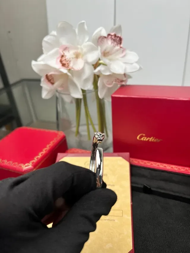 Cartier Panthère Double Panther Head Open Bangle Bracelet 4
