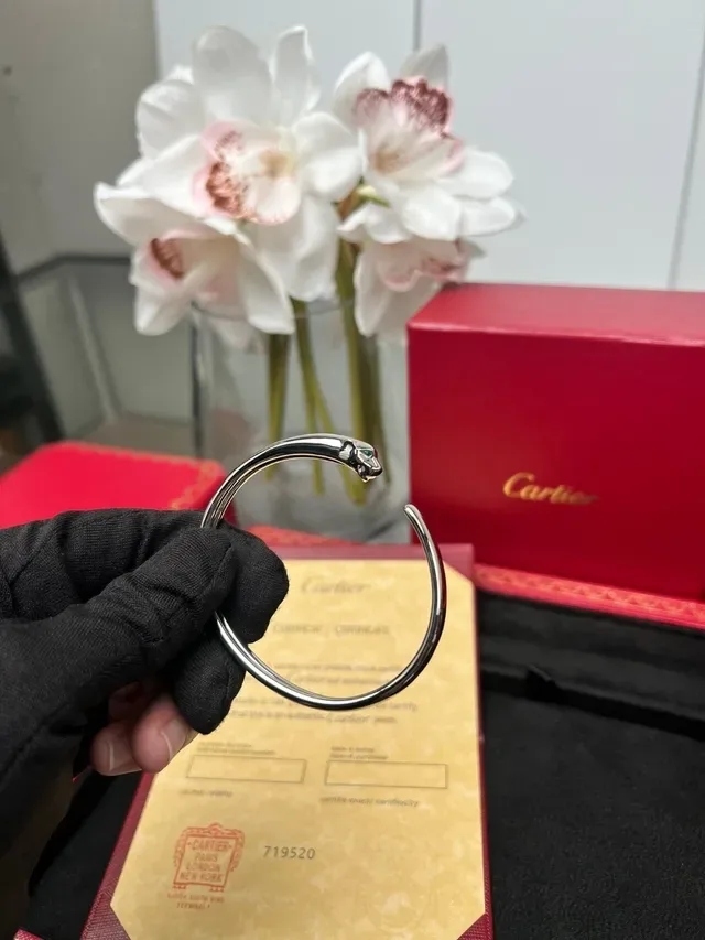 Cartier Panthère Double Panther Head Open Bangle Bracelet 6