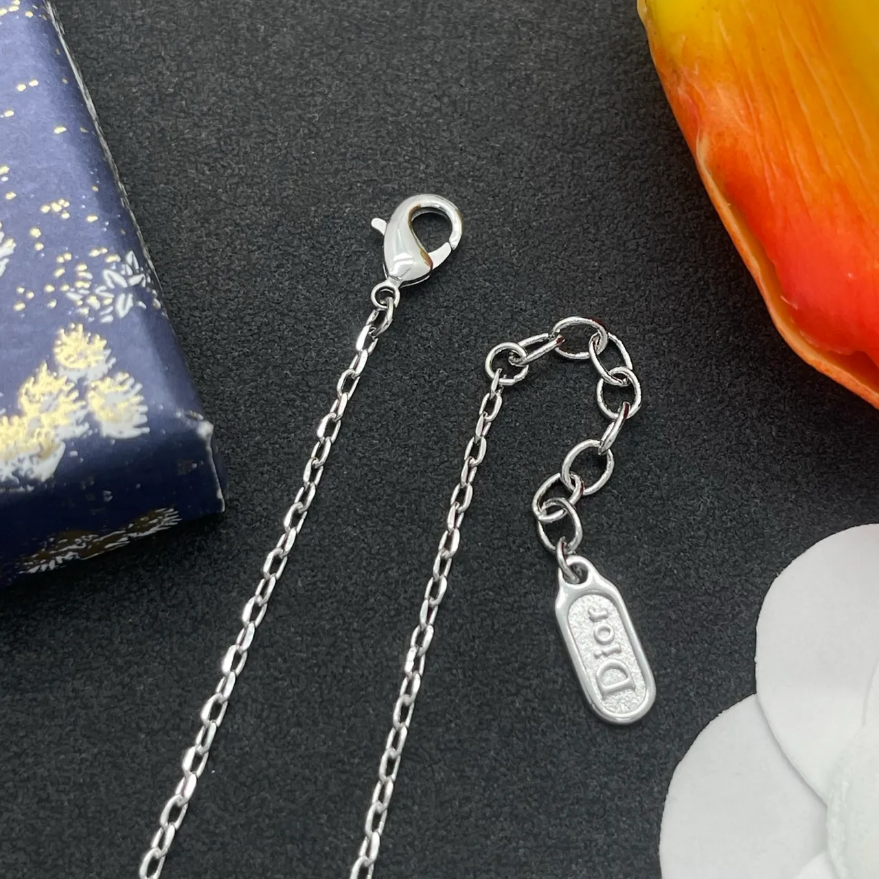 Dior Ami de Coeur Silver Chain Heart Pendant Bracelet 5