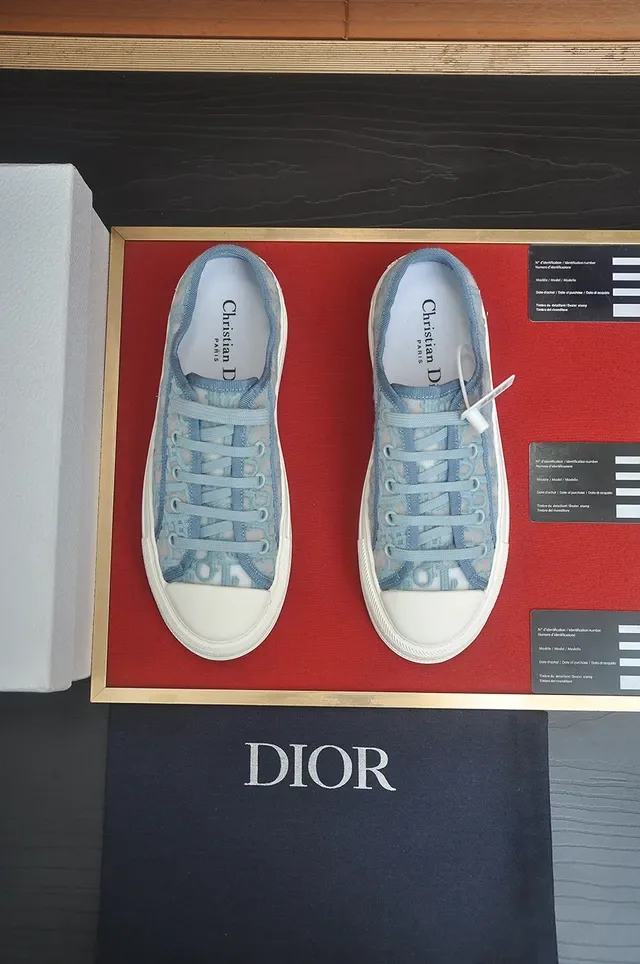 Dior Blue White Monogrammed Mesh Upper Thick Platform Sole Lifestyle Sneakers 5