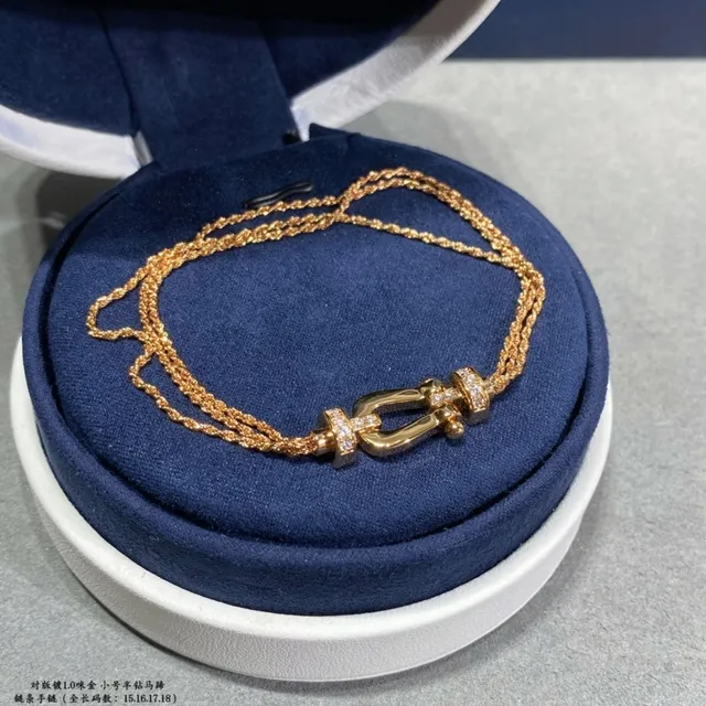 Gold Silver Chain-Link Horseshoe Clasp Bracelet 5