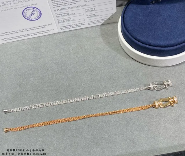 Gold Silver Chain-Link Horseshoe Clasp Bracelet 8
