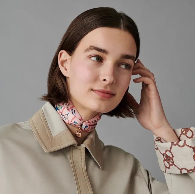 Hermès Motif Équestre Rose et Bleu Écharpe de Soie 3