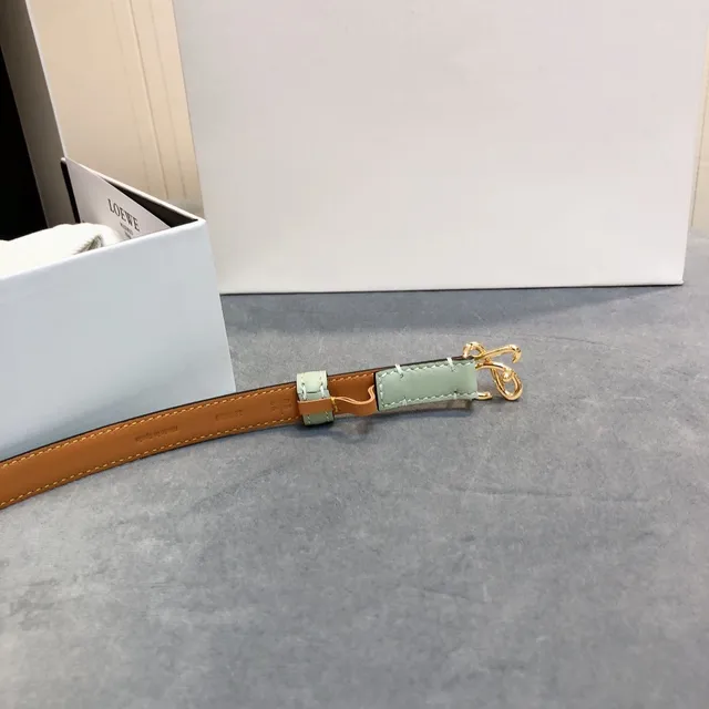Loewe Anagram Belt Ceinture en cuir vert menthe et beige 5