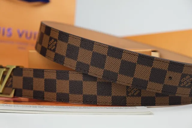Louis Vuitton Ceinture en cuir marron doré Damier Ebène toile à carreaux LV Monogram boucle 3