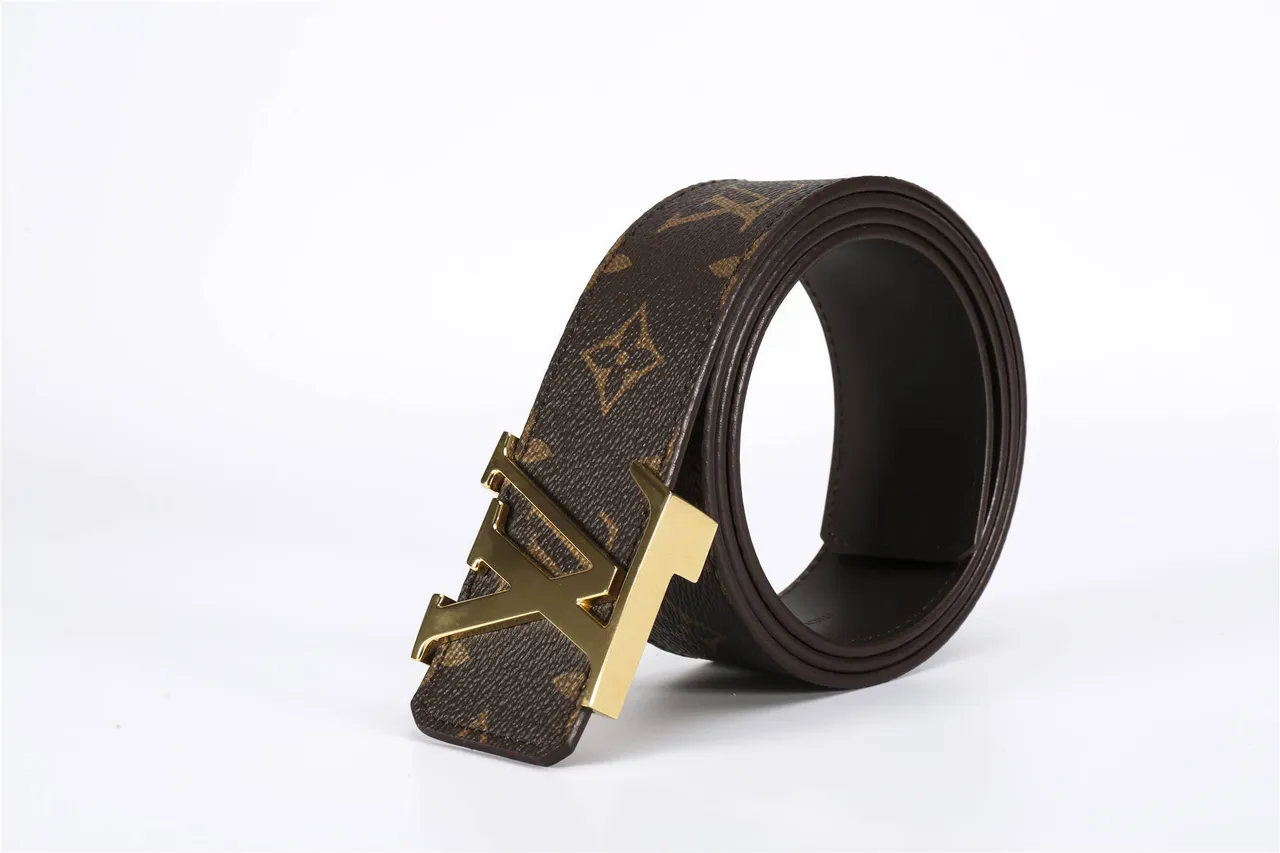 Louis Vuitton Marron Doré Monogramme Toile LV Boucle Cuir Courroie 5