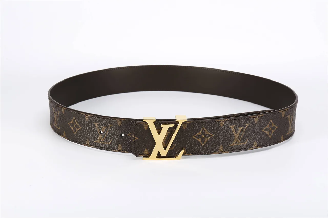 Louis Vuitton Marron Doré Monogramme Toile LV Boucle Cuir Courroie 8