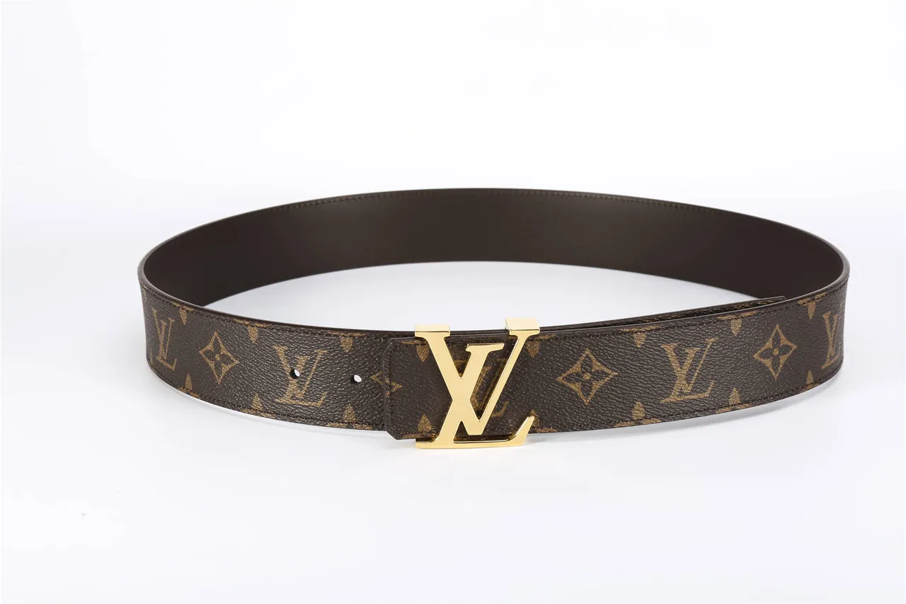 Louis Vuitton Marron Doré Monogramme Toile LV Boucle Cuir Courroie 9