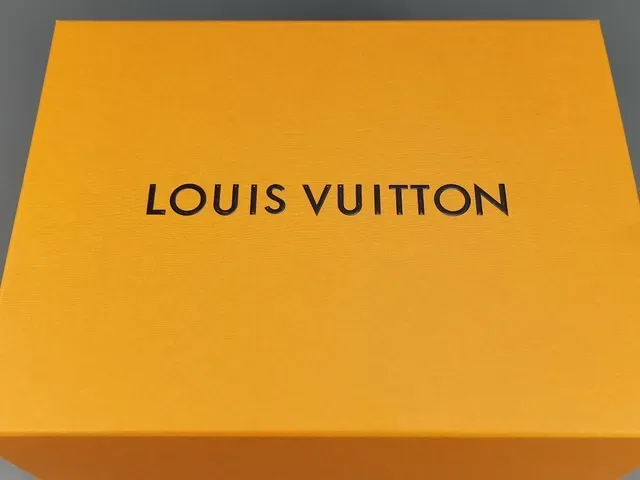 Louis Vuitton LV Trainer Brown Beige Monogram Canvas Chunky Platform Sole Lifestyle Sneakers 11