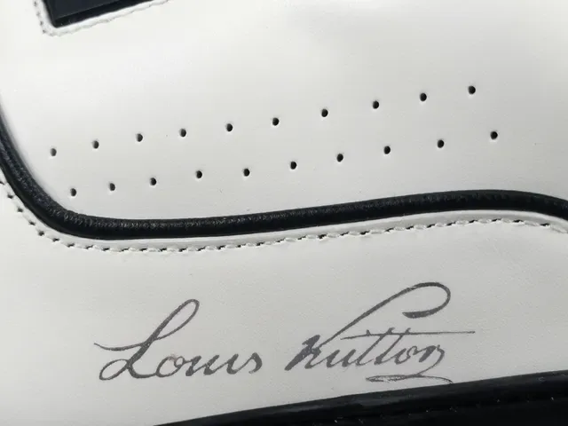 Louis Vuitton LV Trainer White Black Low-Top Silhouette Leather Upper Lifestyle Sneakers 2