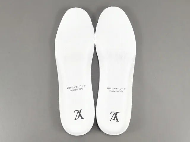 Louis Vuitton White Blue Leather Upper Polka-Dot Print Lifestyle Sneakers 3