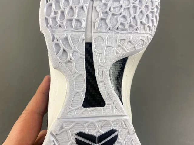 Nike Blue White High-Top Textured Pebble Upper Basketball Shoes 9