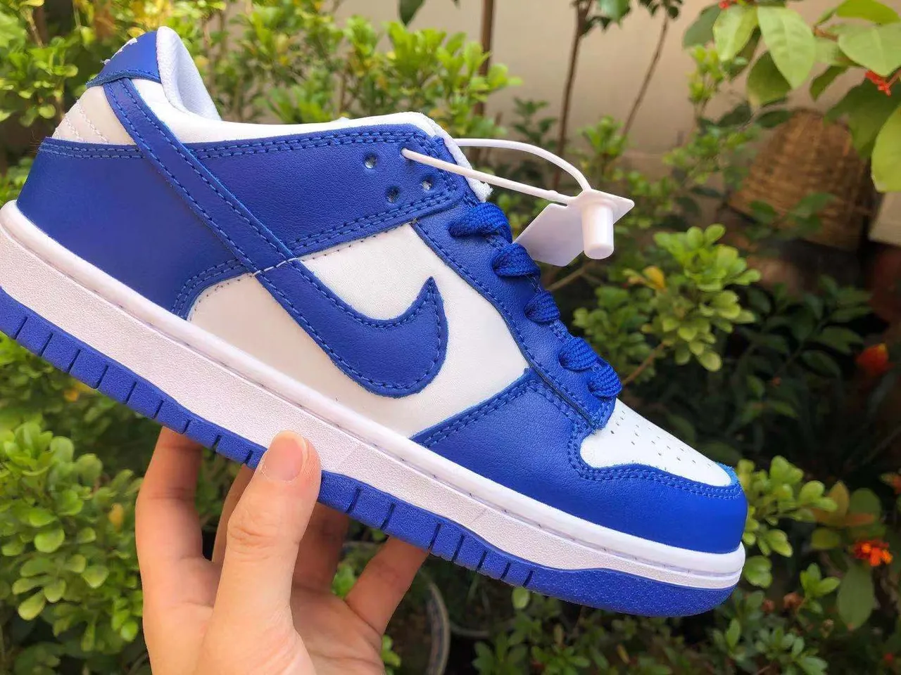 Nike Dunk Low Royal Blue and White Lifestyle Sneakers 2