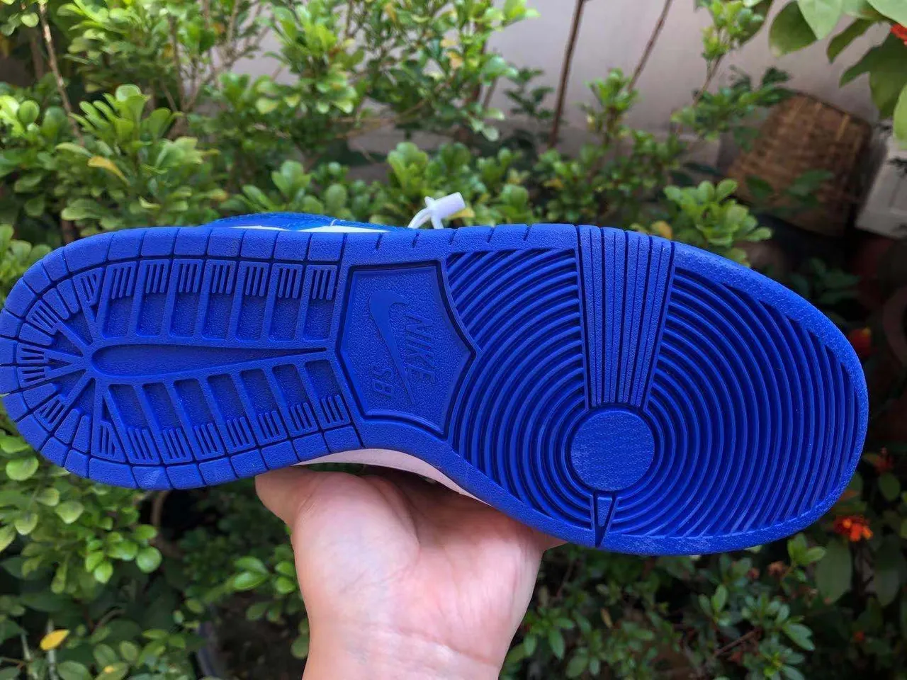 Nike Dunk Low Royal Blue and White Lifestyle Sneakers 3