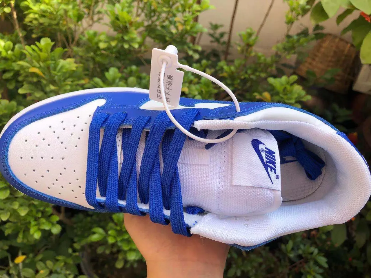 Nike Dunk Low Royal Blue and White Lifestyle Sneakers 4