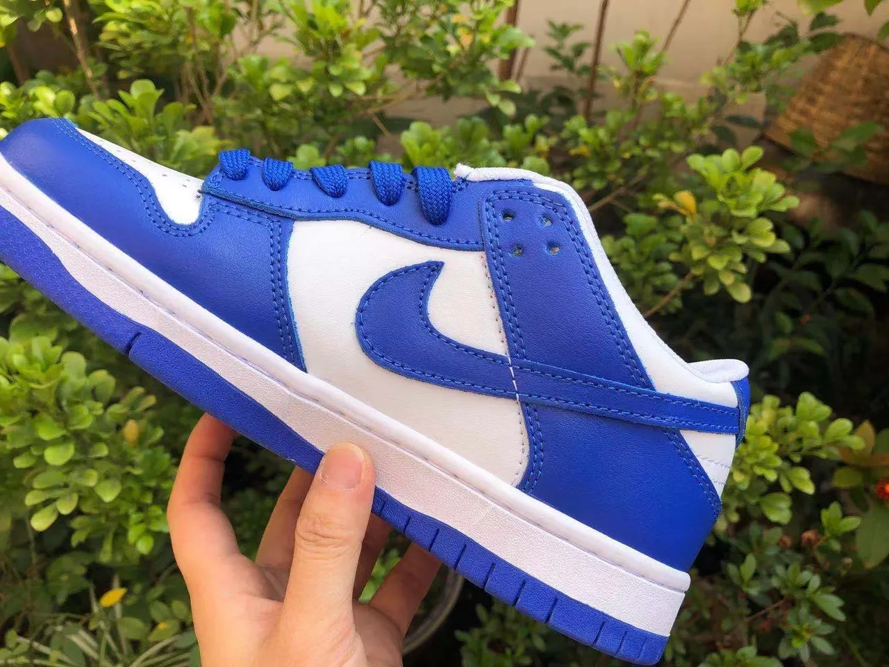 Nike Dunk Low Royal Blue and White Lifestyle Sneakers 5