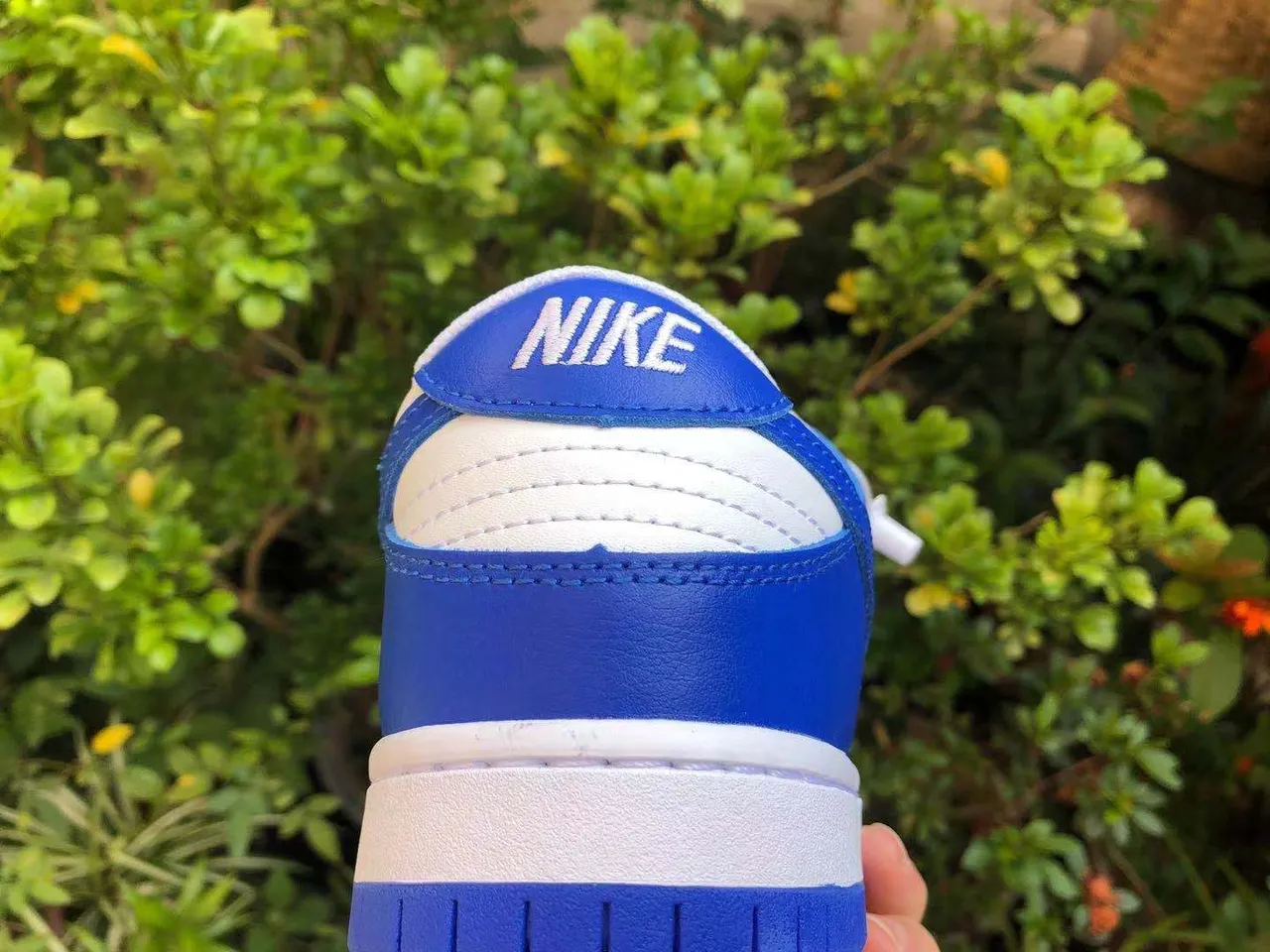 Nike Dunk Low Royal Blue and White Lifestyle Sneakers 6