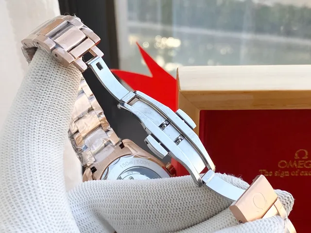Omega Seamaster Worldtimer Montre Mécanique Or Rose 2