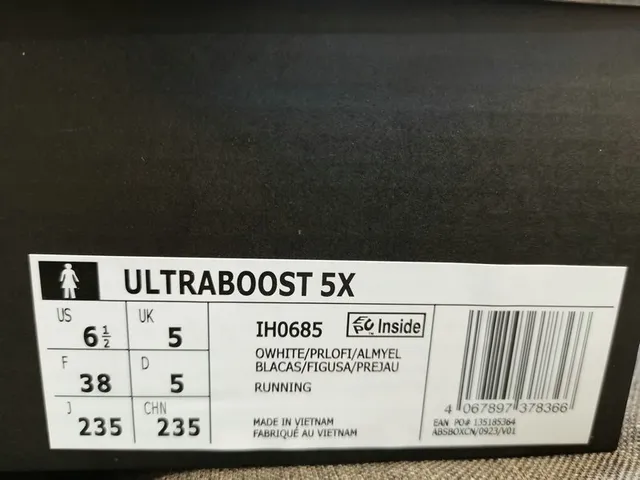 Chaussures de running Adidas Ultraboost gris clair et bleu 12
