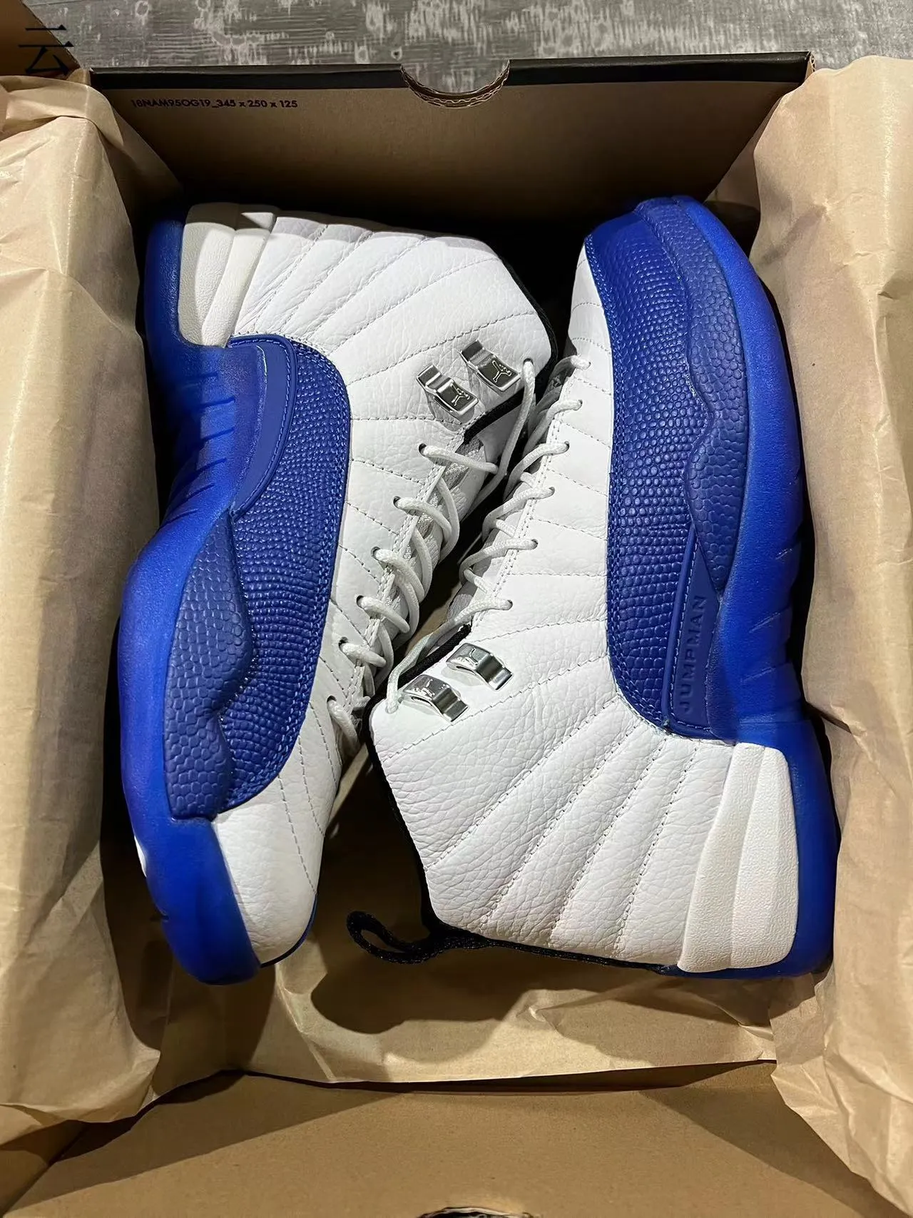 Air Jordan 12 White Royal Blue Basketball Shoes 9