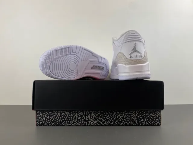 Air Jordan 3 Chaussures de Basketball avec Impression d'Éléphant Blanc 16