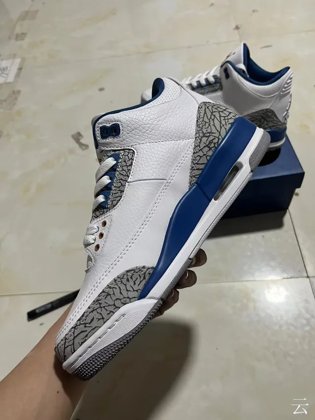 Chaussures de basketball Air Jordan 3 blanc et bleu royal à motif éléphant 4