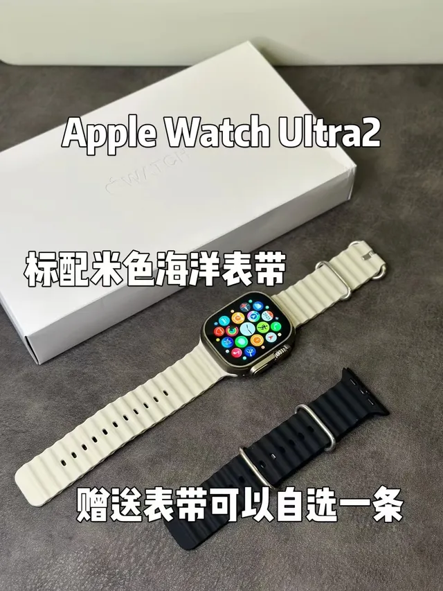 Apple Ultra 2 Gray Silver Rugged Titanium Case Flat Sapphire Crystal Sports Watch 22