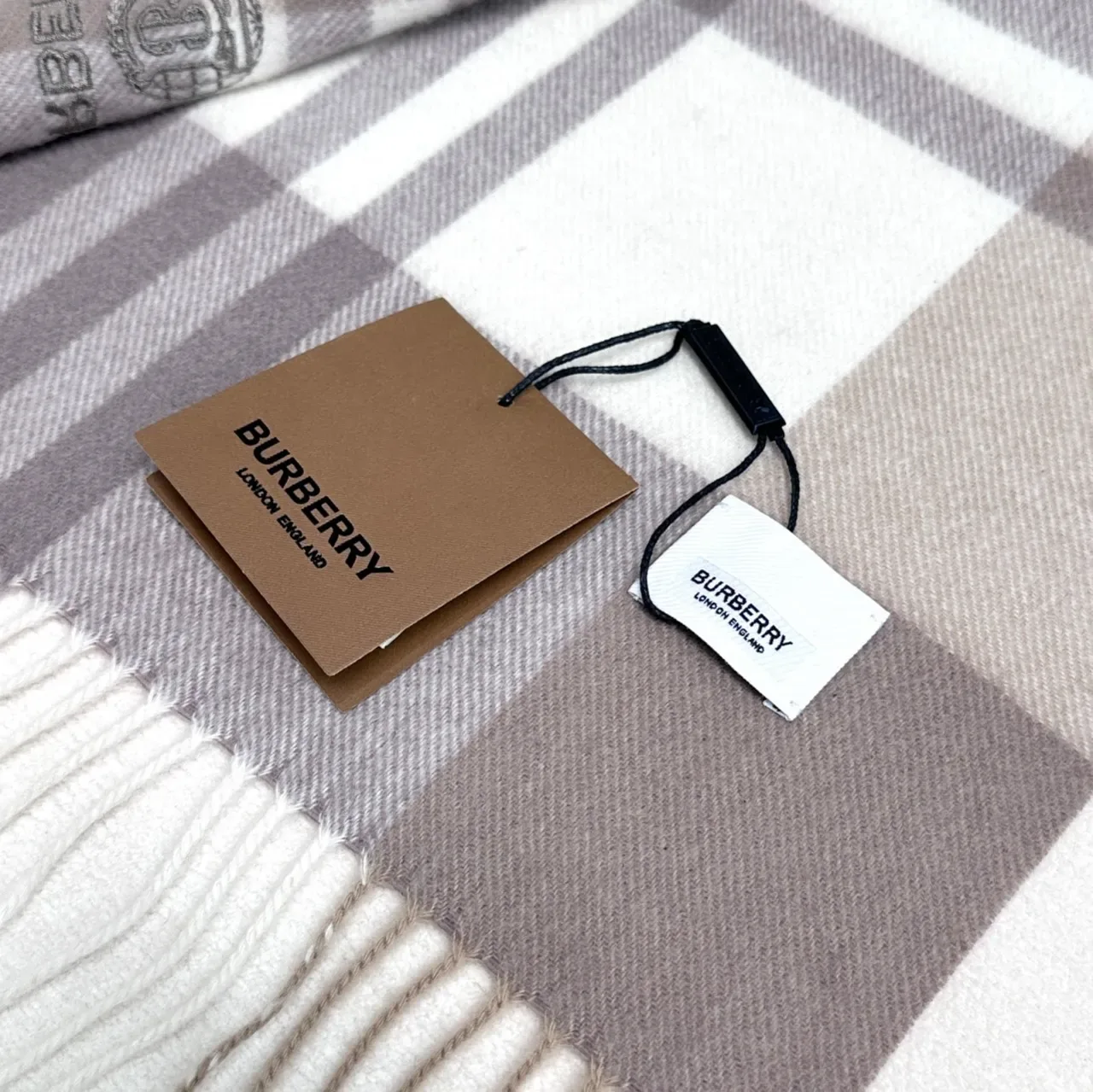 Burberry Classic Check Beige Taupe Cashmere Scarf 3