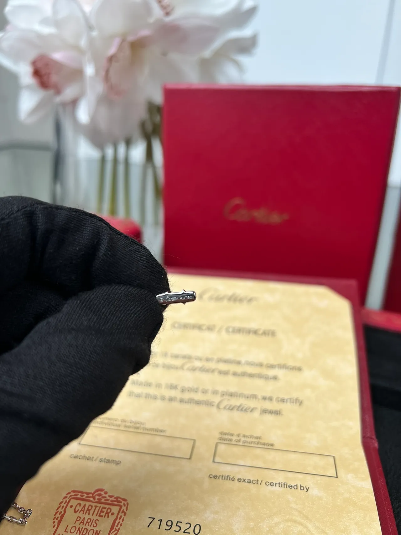 Cartier Juste un Clou গোলাকার পেন্ডেন্ট নেকলেস 4