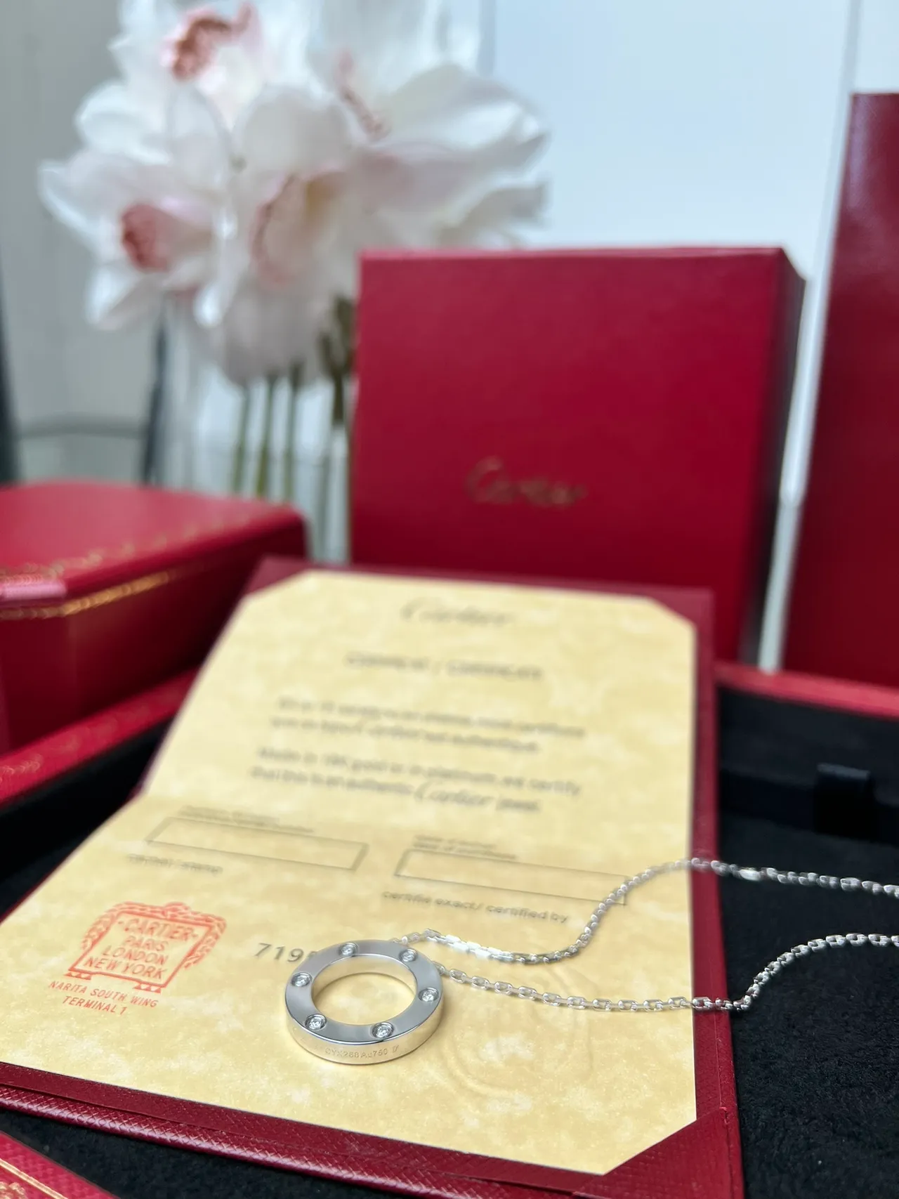 Cartier Juste un Clou গোলাকার পেন্ডেন্ট নেকলেস 7