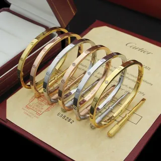 Cartier Love Gold Silver Rigid Bangle Screw-Motif Bracelet