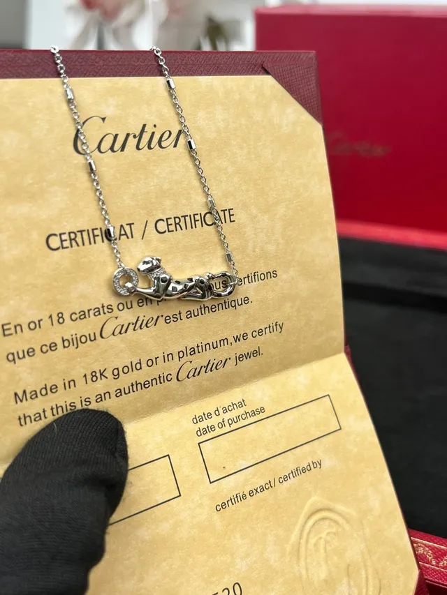Cartier Collier Minimaliste avec Pendentif Argenté 2